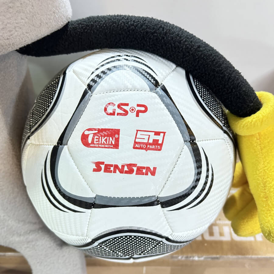 Customized footballs are excellent promotional items and corporate gifts